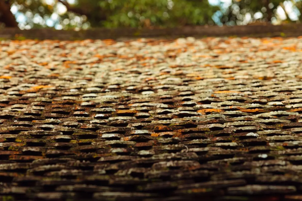 Roof Coatings & Sealing in Metairie, LA